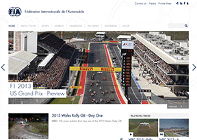 国际汽联(FIA) 国际汽联(FIA)