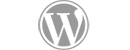Wordpress主题站 Logo