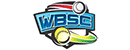世界棒垒球联盟 Logo