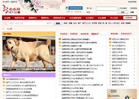 心心网 心心网