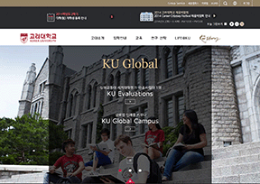 高丽大学 高丽大学