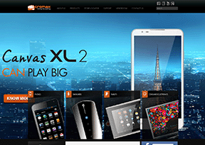 Micromax Micromax