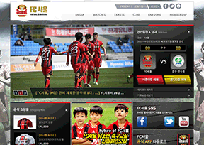 首尔FC 首尔FC