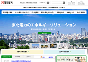 东北电力公司 东北电力公司