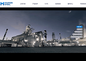 现代钢铁公司 现代钢铁公司