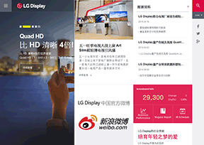 乐金显示 乐金显示