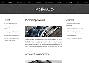 莫斯勒_Mosler Automotive 莫斯勒_Mosler Automotive