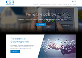 英国CSR公司 英国CSR公司
