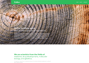 Google Calico Google Calico