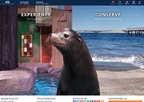 美国乔治亚水族馆 美国乔治亚水族馆