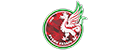 喀山红宝石 Logo