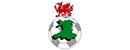 威尔士足球超级联赛 Logo