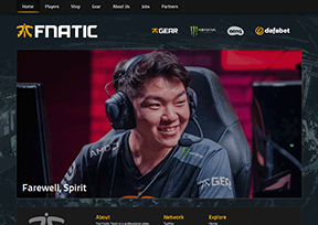 Fnatic_FNC战队 Fnatic_FNC战队