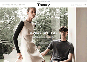 Theory Theory