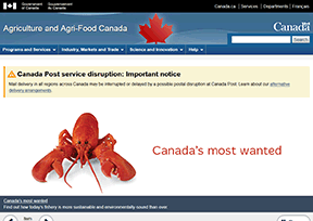 加拿大农业及农业食品部