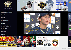 欧力士野牛 欧力士野牛