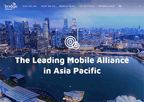 Bridge Alliance Bridge Alliance