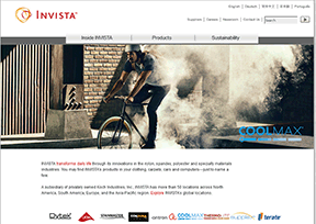 英威达_Invista 英威达_Invista