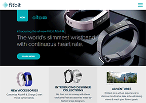 Fitbit Fitbit