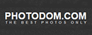 Photodom摄影网 Logo