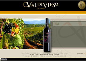 Valdivieso酒庄 Valdivieso酒庄