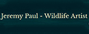 野生动物艺术家杰米•保罗 Logo