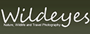 Wildeyes旅游摄影网 Logo