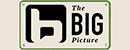 大图片(The Big Picture) Logo