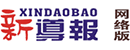 《新导报》网络版 Logo