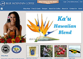 蓝山咖啡(Blue Mountain Coffee) 蓝山咖啡(Blue Mountain Coffee)