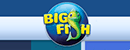 大鱼游戏(Big Fish Games) Logo