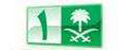 沙特阿拉伯国家电视1台 Logo
