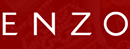 恩佐_ENZO Logo