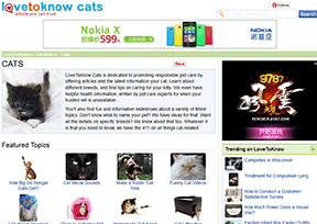 爱知道-猫 爱知道-猫