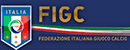 意大利足球协会 Logo