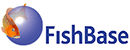 全球鱼库 Logo