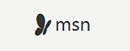 MSN法国 Logo