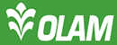 奥兰国际 Logo