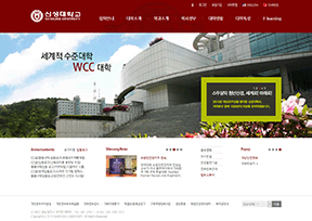韩国新星大学 韩国新星大学