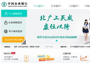 中国农业银行 中国农业银行