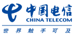中国电信集团公司 Logo