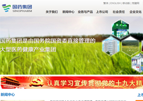 中国医药集团 中国医药集团