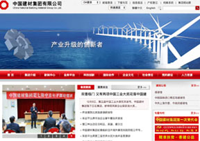 中国建材股份有限公司 中国建材股份有限公司