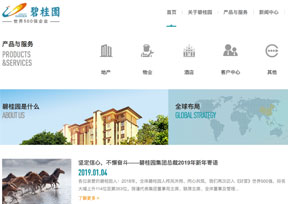 碧桂园控股有限公司 碧桂园控股有限公司
