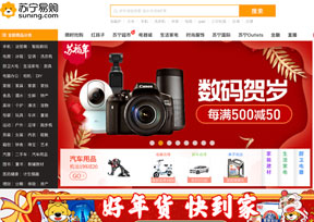 苏宁云商集团 苏宁云商集团