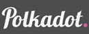 Polkadot-波卡链公共区块链技术 Logo